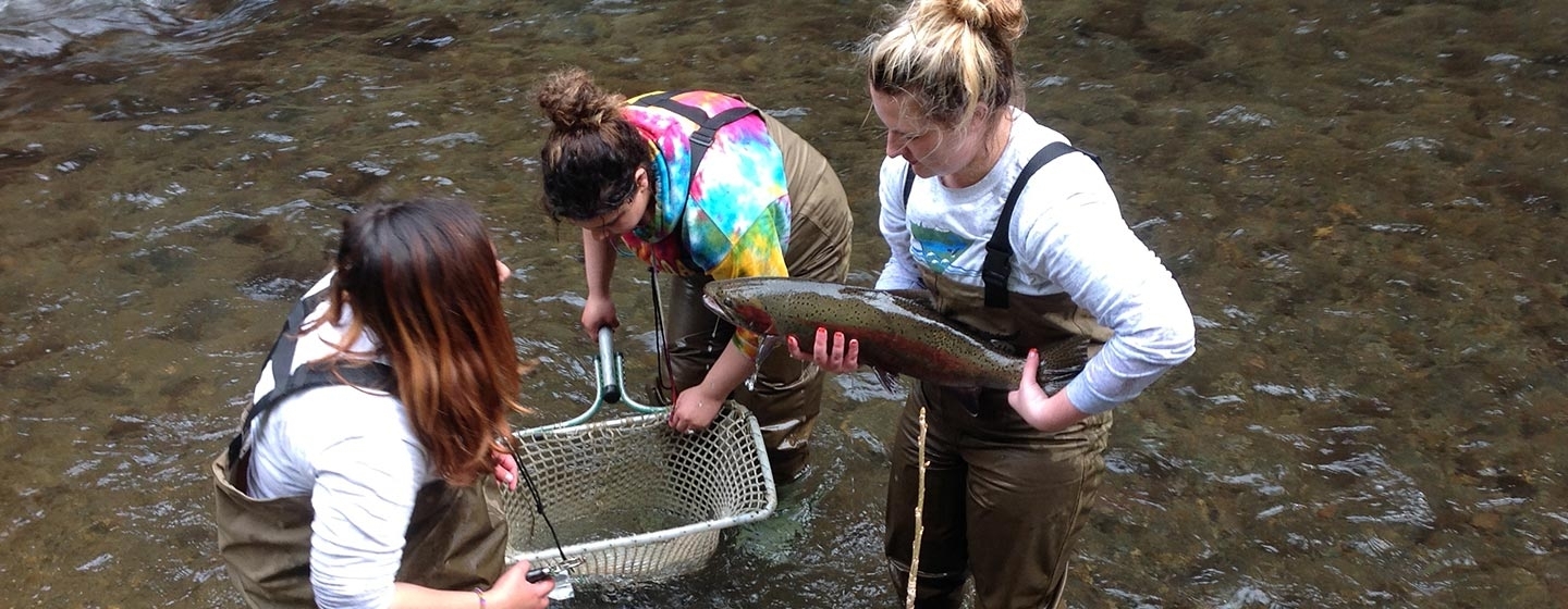 Students Catching Fish