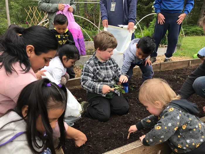 Students learning how to garden