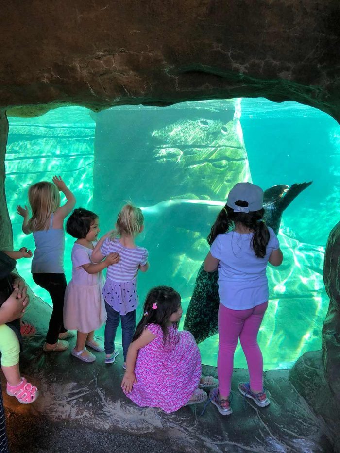 Kids at Aquarium