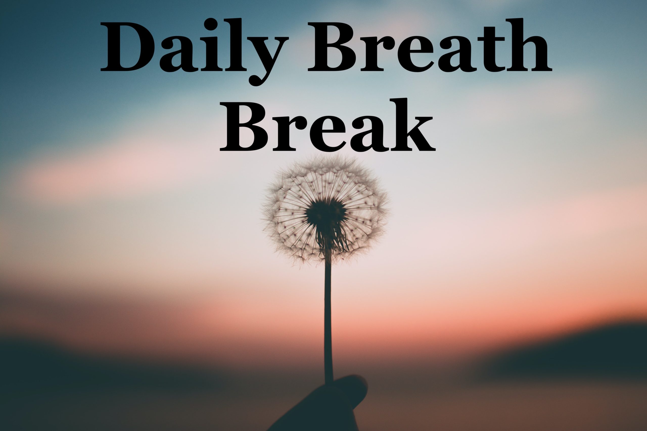 Dandelion - Daily Breath Break